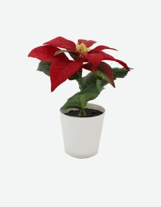 Mini Christmas Flower -GL00136