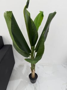 B063